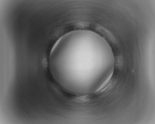 X0000102290086200808081532