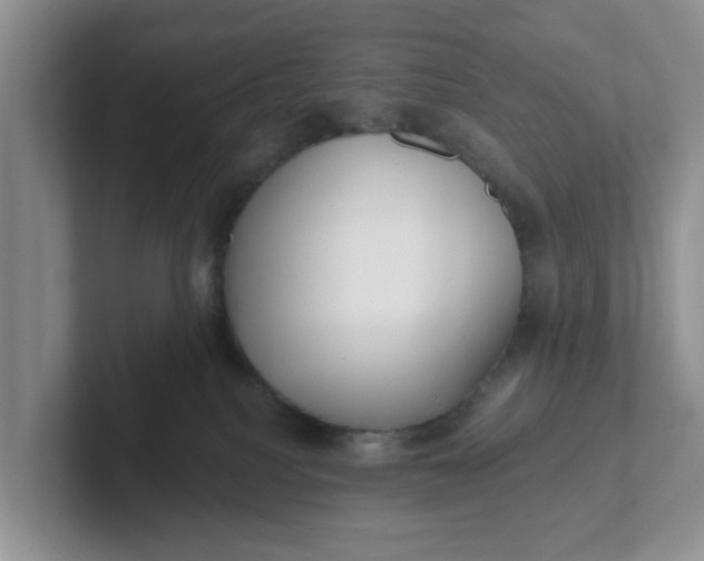 X0000102290088200808081532