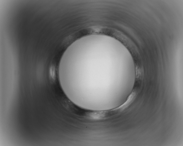 X0000102290094200808081532