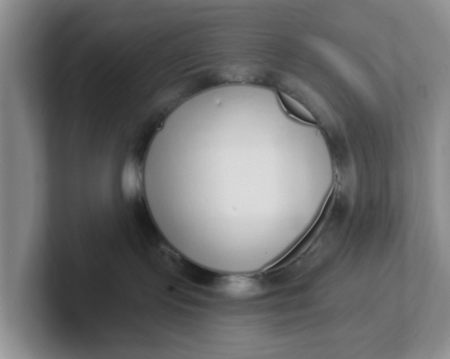 X0000102290095200808081532