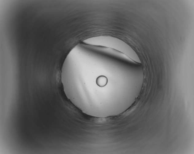 X0000102290096200808081532