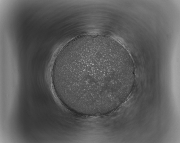 X0000102290097200808081531