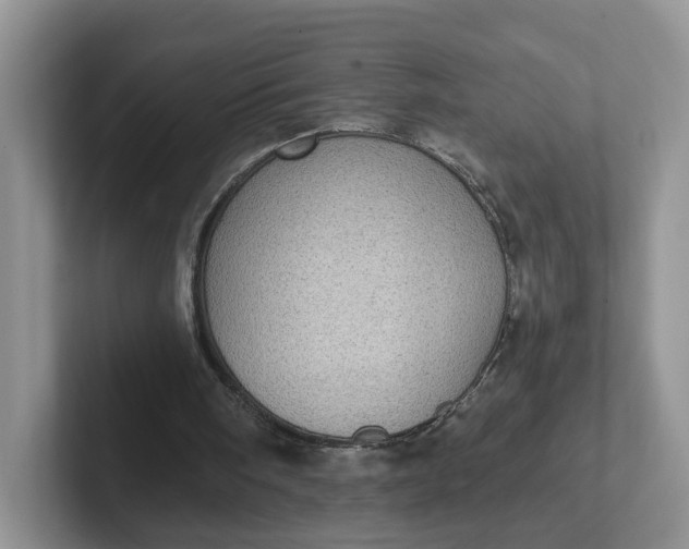 X0000102290098200808081531