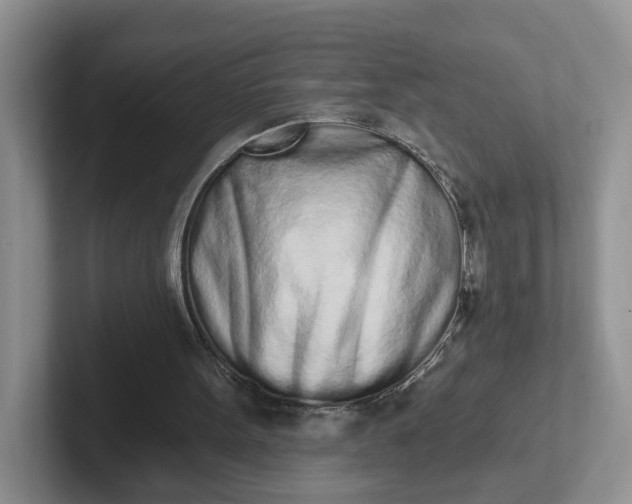 X0000102290099200808081531