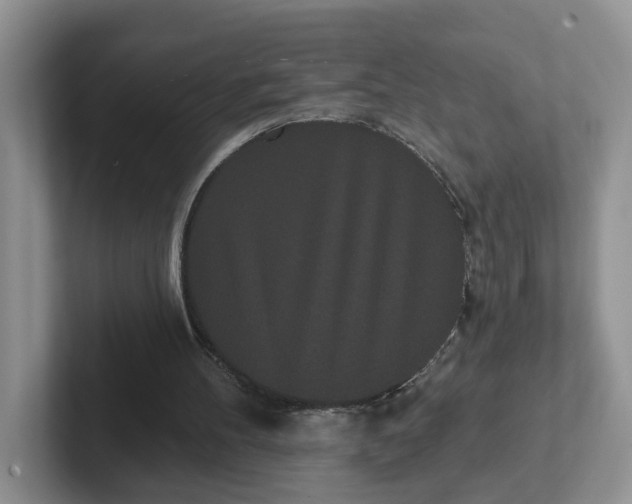 X0000102290100200808081531