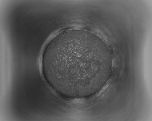 X0000102290101200808081531