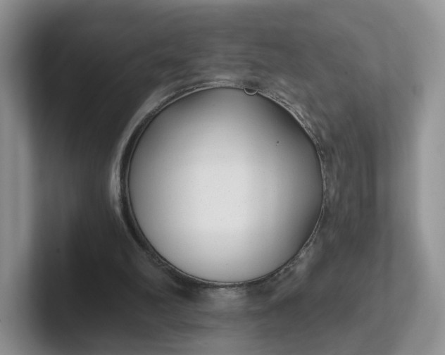 X0000102290102200808081531