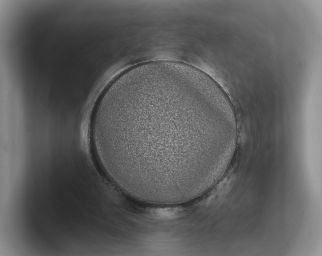 X0000102290103200808081531