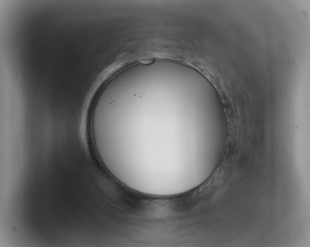 X0000102290104200808081531