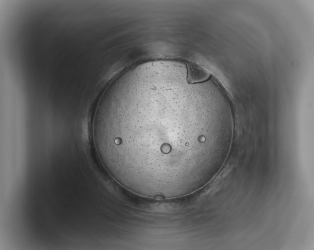 X0000102290105200808081531