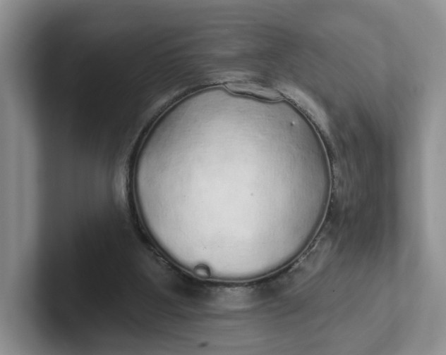 X0000102290107200808081531