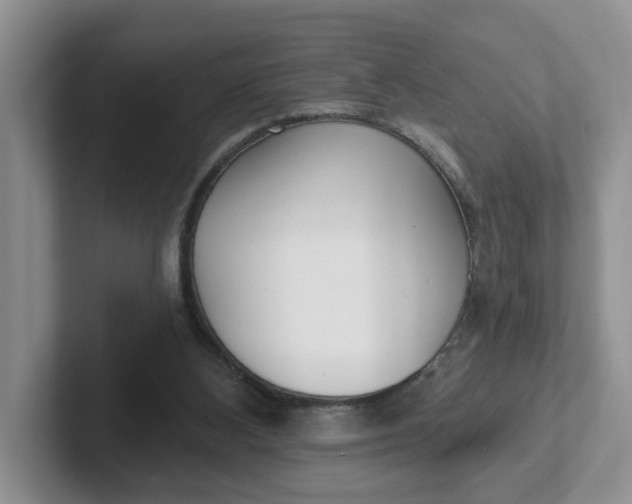 X0000102290108200808081531