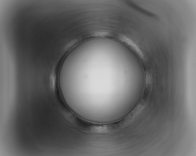 X0000102290110200808081531