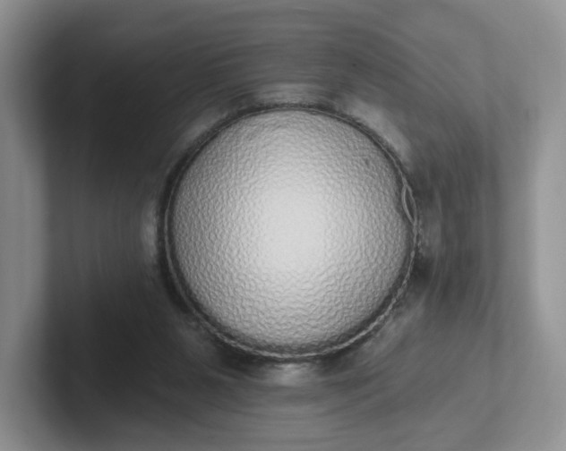 X0000102290111200808081531