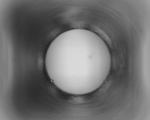 X0000102290113200808081531