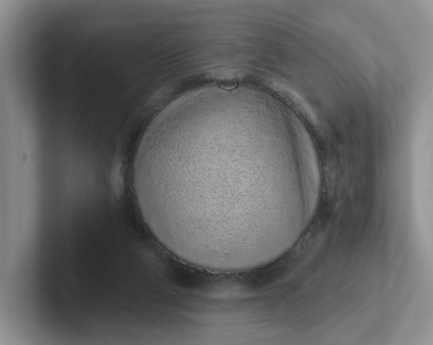 X0000102290114200808081531