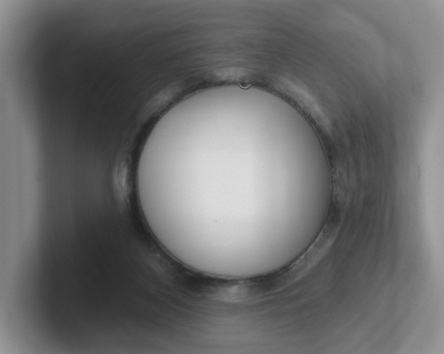 X0000102290116200808081531