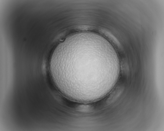 X0000102290119200808081531