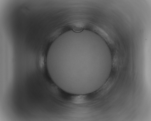 X0000102290122200808081531