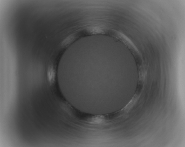 X0000102290124200808081531