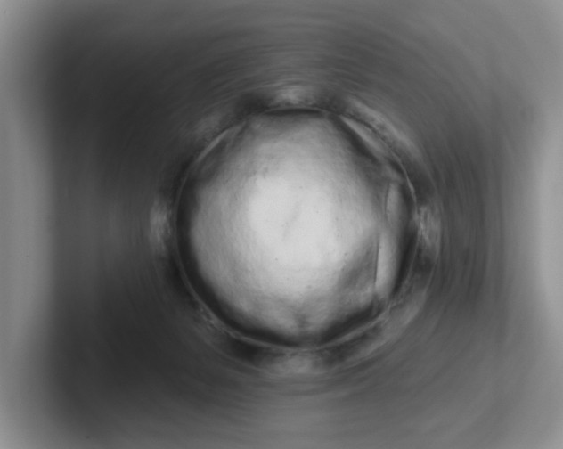 X0000102290127200808081531