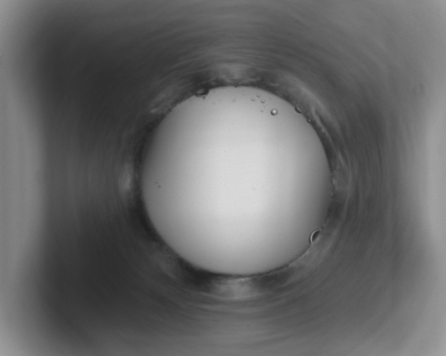 X0000102290132200808081531