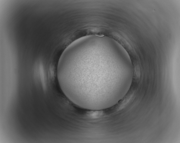 X0000102290135200808081531