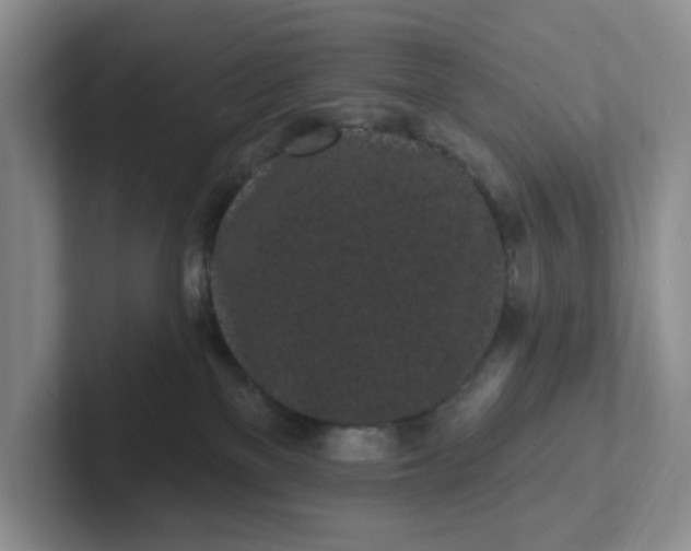 X0000102290137200808081531