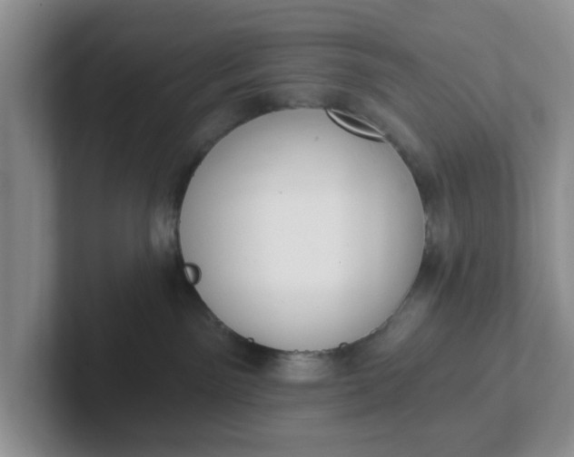 X0000102290141200808081531