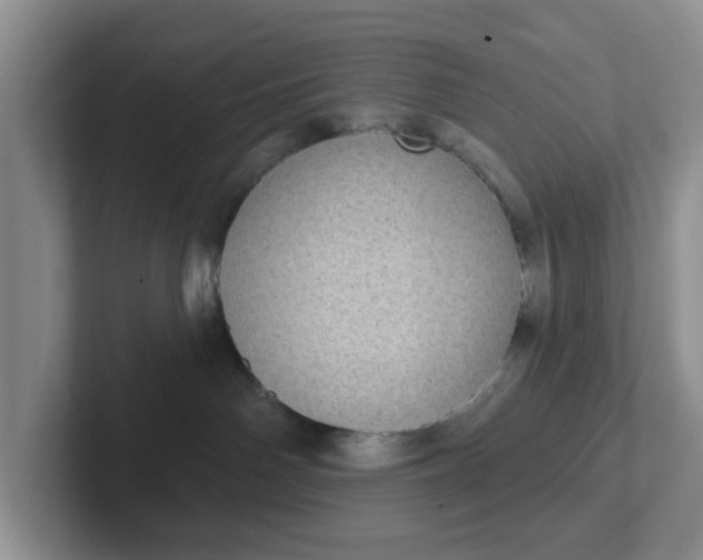 X0000102290142200808081531