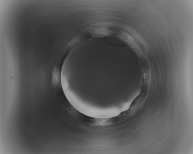 X0000102290143200808081531