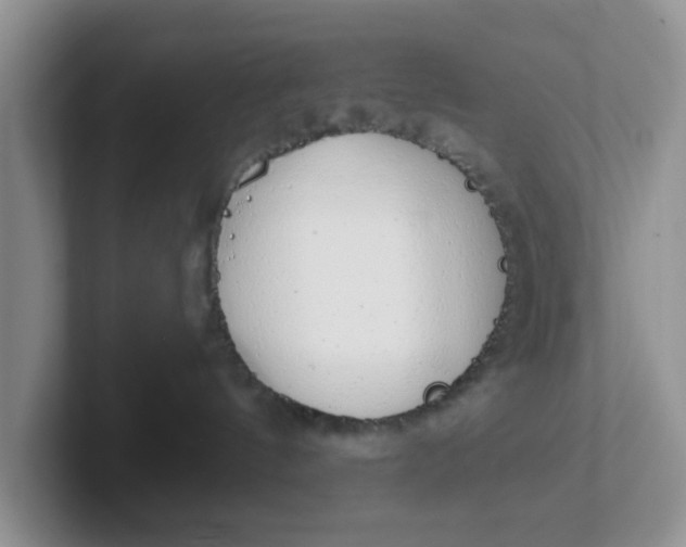 X0000102290144200808081531