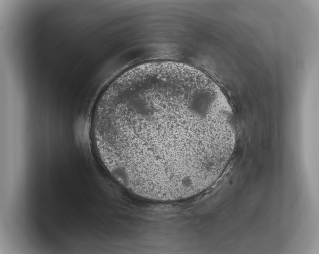 X0000102290146200808081530