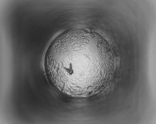 X0000102290147200808081530