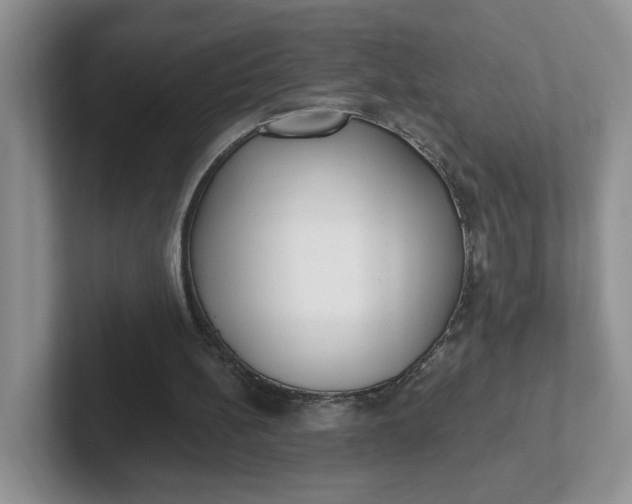 X0000102290148200808081530