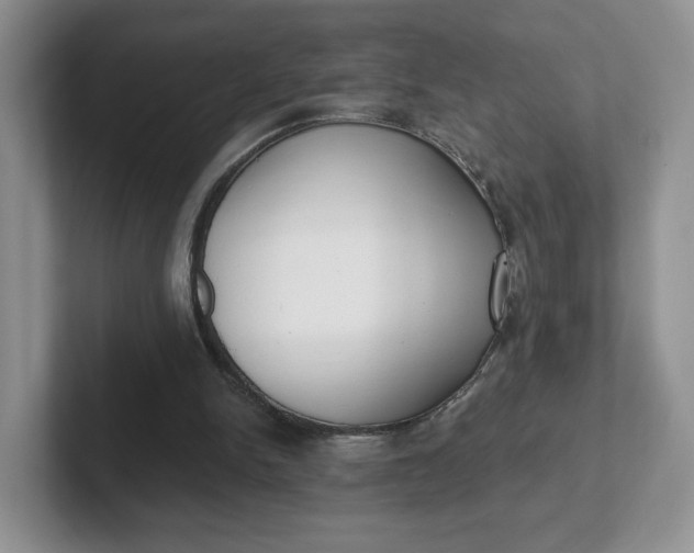 X0000102290150200808081530