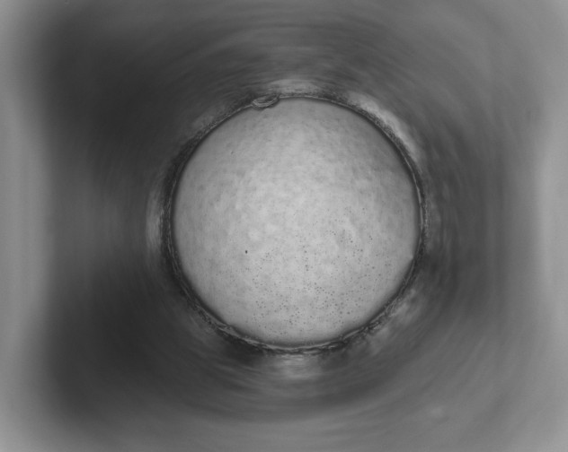 X0000102290153200808081530