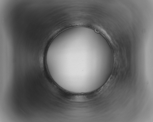 X0000102290154200808081530