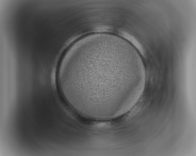 X0000102290155200808081530