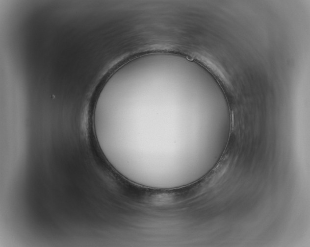 X0000102290156200808081530