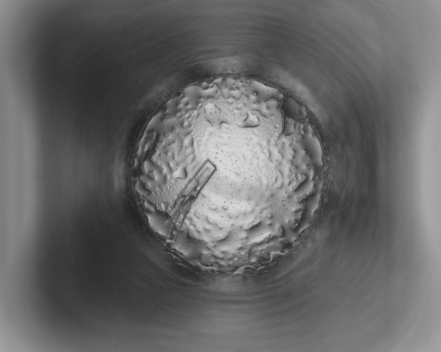 X0000102290161200808081530