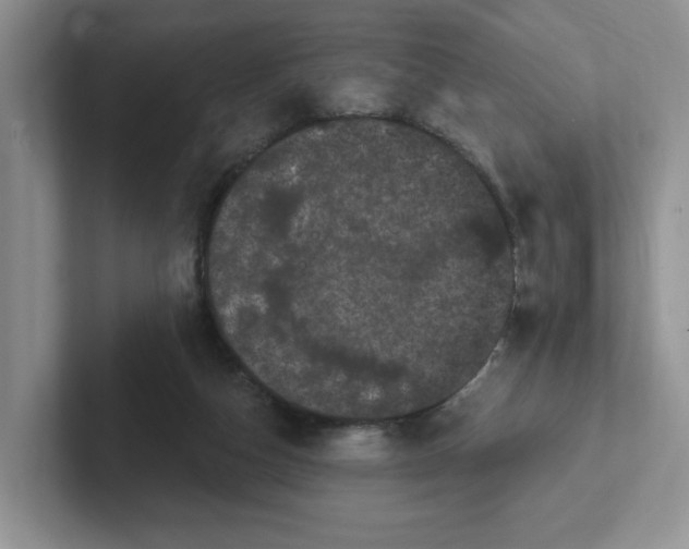 X0000102290162200808081530