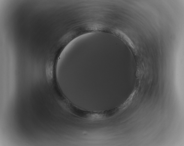 X0000102290163200808081530