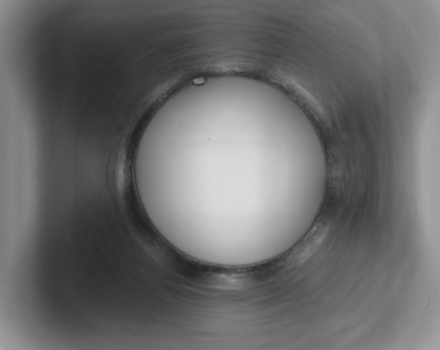 X0000102290164200808081530