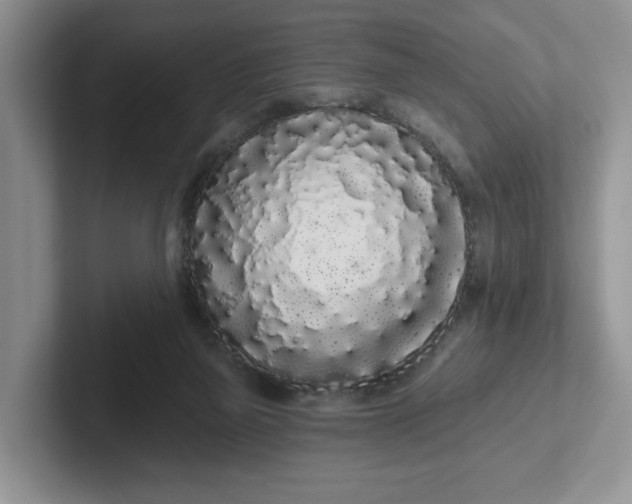 X0000102290165200808081530