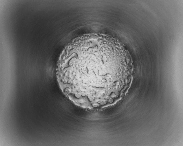 X0000102290177200808081531