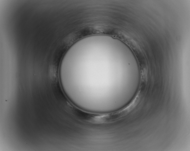 X0000102290178200808081531