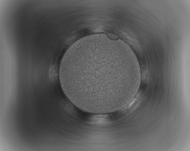 X0000102290179200808081531