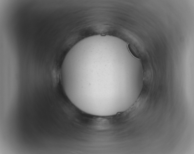 X0000102290180200808081531