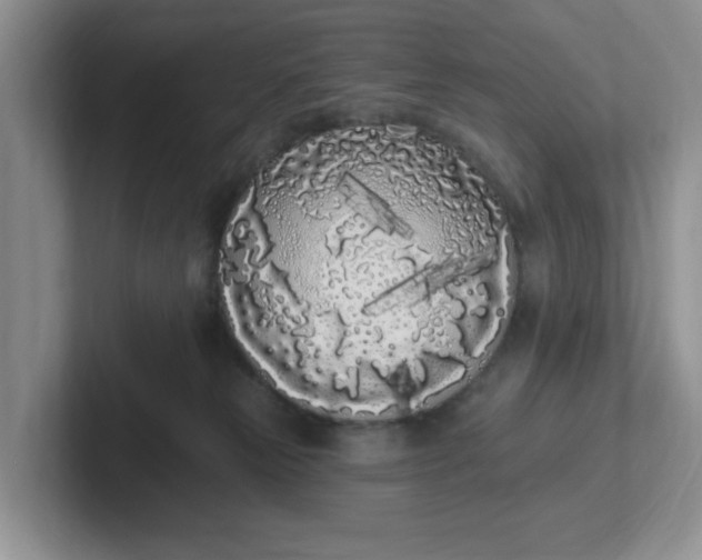 X0000102290181200808081531